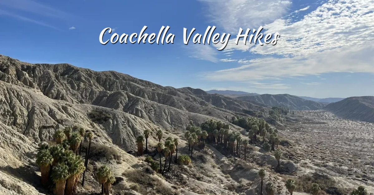 Top 11 Coachella Valley Hikes You Can't-Miss (With Preserve Trails, Tips & Maps)